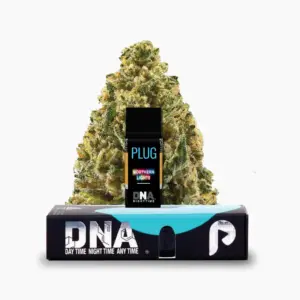PLUGplay | PLUG™ DNA: Northern Lights Pod – 1.0g