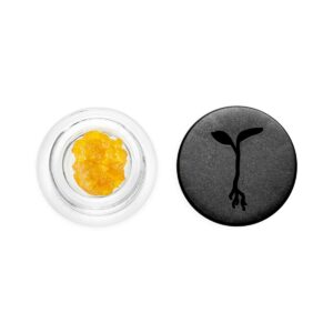 RAW GARDEN | Lemon Sour Diesel – Live Resin – 1.0g